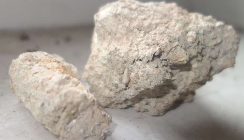 Bild zum BAU-Forumsbeitrag: Asbest im Mörtel? im Forum Baustoffe