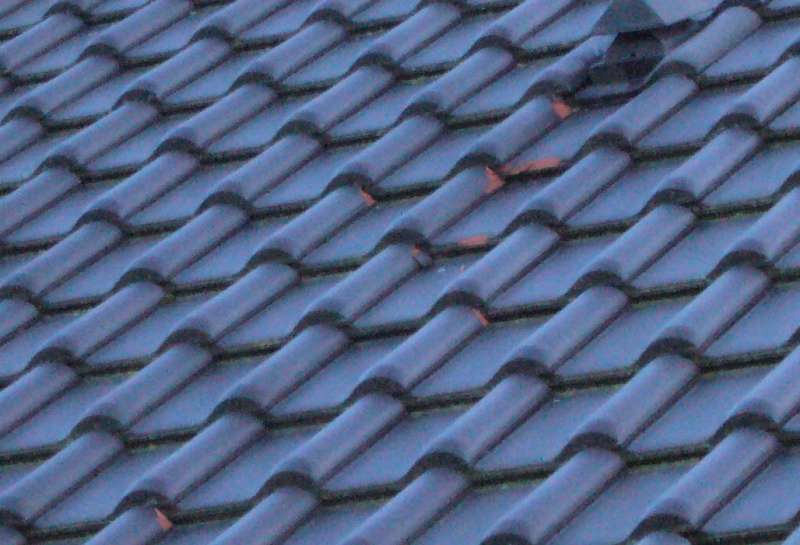 Bild zum BAU-Forumsbeitrag: Frostschäden Tondachziegel  -  Hersteller Firma Pfleiderer pleite im Forum Dach