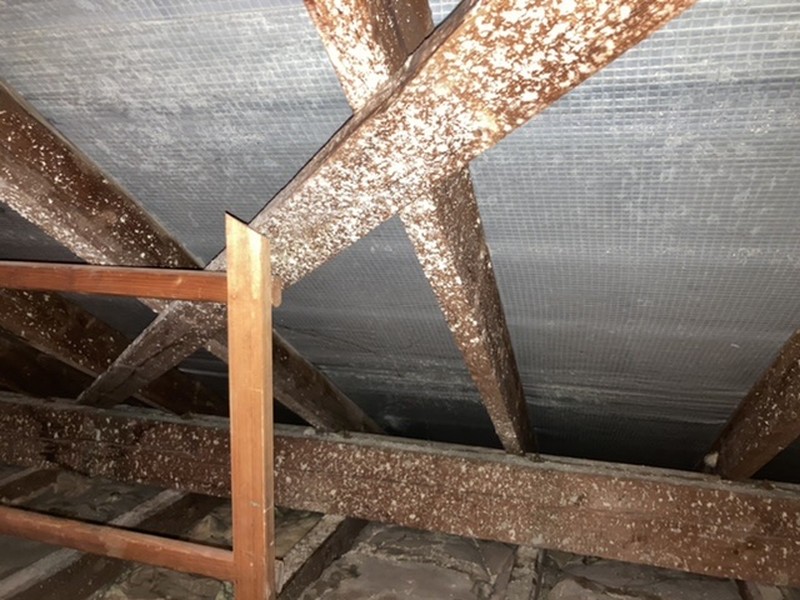 Bild zum BAU-Forumsbeitrag: Flecken auf Balken im Dachstuhl im Forum Dach
