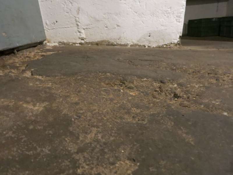 Bild zum BAU-Forumsbeitrag: Kellerboden Ausbrüche Materialfragen im Forum Estrich und Bodenbeläge