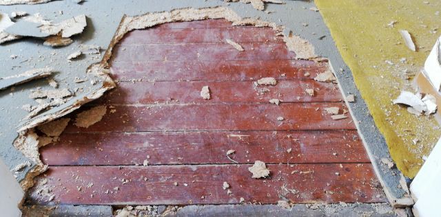 Bild zum BAU-Forumsbeitrag: genagelte (ankernägel) MDF Platten unter geklebtem Teppich ... was tun im Forum Estrich und Bodenbeläge