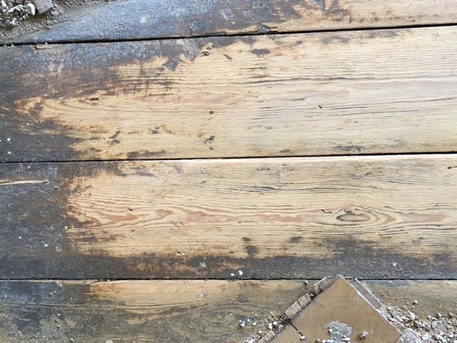 Bild zum BAU-Forumsbeitrag: Welche Holzart ist mein alter Dielenboden? im Forum Holzschutz, Holzschäden, Holzsanierung