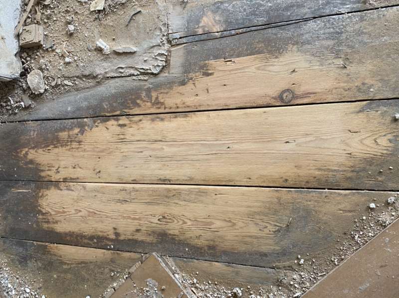 Bild zum BAU-Forumsbeitrag: Welche Holzart ist mein alter Dielenboden? im Forum Holzschutz, Holzschäden, Holzsanierung