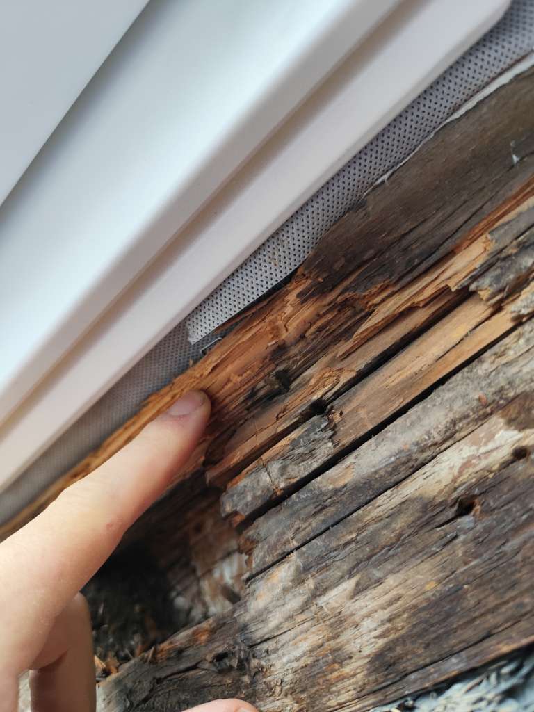 BAU.DE / BAU-Forum: 1. Bild zu Frage "Maroden Dachbalken armieren - Welche Methoden bei wenig Platz?" im BAU-Forum "Holzschutz, Holzschäden, Holzsanierung" BAU.DE / BAU-Forum: 1. Bild zu Frage "Maroden Dachbalken armieren - Welche Methoden bei wenig Platz?" im BAU-Forum "Holzschutz, Holzschäden, Holzsanierung"