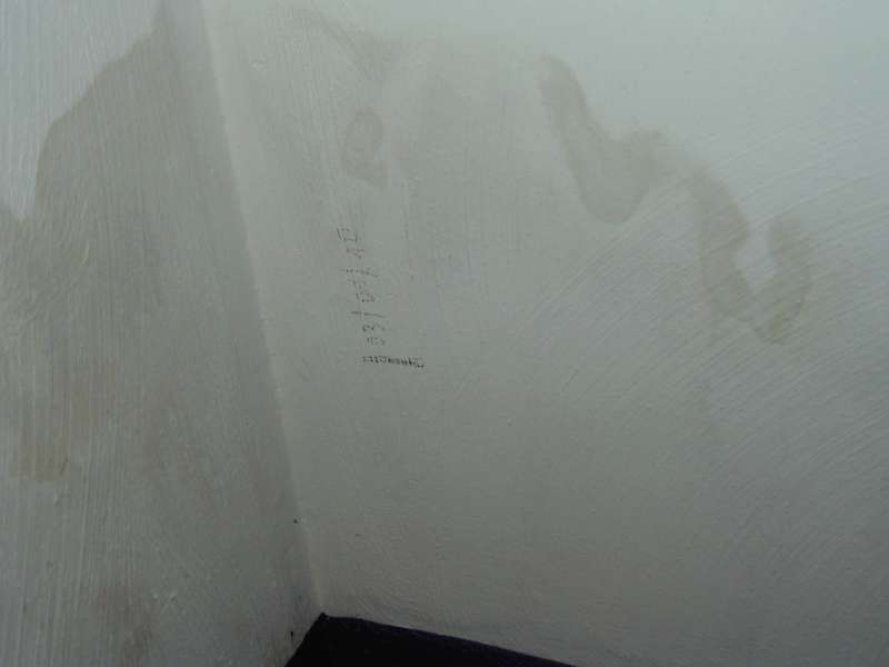 BAU.DE / BAU-Forum: 2. Bild zu Frage "Schimmel an Au&szlig;enwand: Ursachen, Risiken & Ma&szlig;nahmen in der Mietwohnung?" im BAU-Forum "Au&szlig;enw&auml;nde und Fassaden"