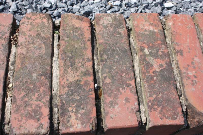 BAU.DE / BAU-Forum: 1. Bild zu Frage "Backsteinmauer reinigen: Flechten, Moose & Patina entfernen &ndash; Methoden & Risiken?" im BAU-Forum "Au&szlig;enw&auml;nde und Fassaden"