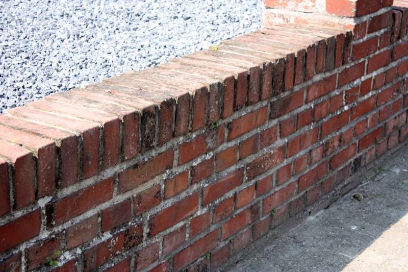 BAU.DE / BAU-Forum: 2. Bild zu Frage "Backsteinmauer reinigen: Flechten, Moose & Patina entfernen &ndash; Methoden & Risiken?" im BAU-Forum "Au&szlig;enw&auml;nde und Fassaden"