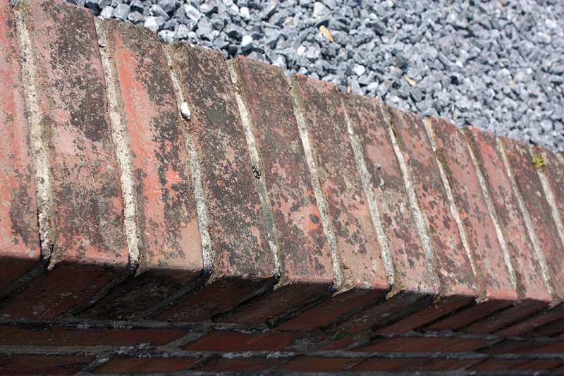 BAU.DE / BAU-Forum: 3. Bild zu Frage "Backsteinmauer reinigen: Flechten, Moose & Patina entfernen &ndash; Methoden & Risiken?" im BAU-Forum "Au&szlig;enw&auml;nde und Fassaden"