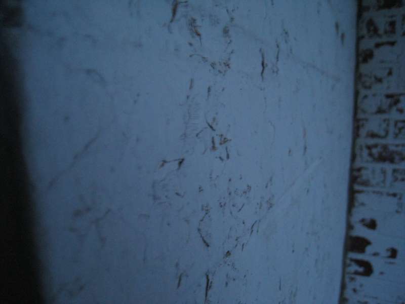 BAU.DE / BAU-Forum: 2. Bild zu Frage "Fassadenfarbe entfernen: Methoden, Kosten & Risiken bei mehrschichtigen Altanstrichen?" im BAU-Forum "Au&szlig;enw&auml;nde und Fassaden"