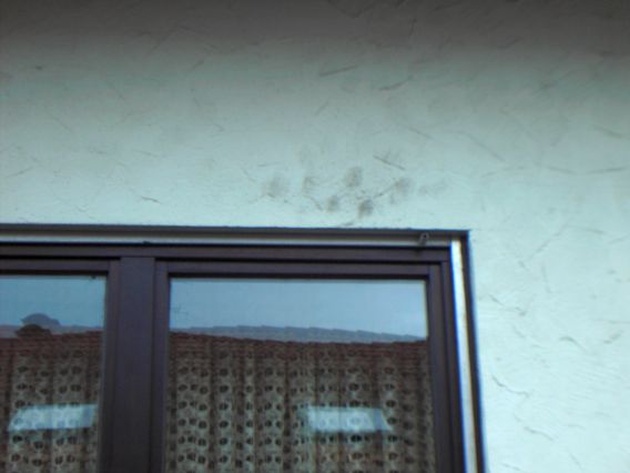 BAU.DE / BAU-Forum: 1. Bild zu Frage "Schwarze Flecken Fassade: Ursachen, Entfernung & Vorbeugung bei Putzfassade?" im BAU-Forum "Au&szlig;enw&auml;nde und Fassaden"