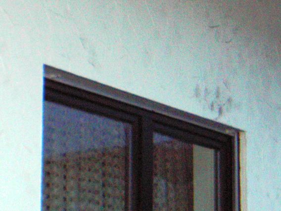 BAU.DE / BAU-Forum: 2. Bild zu Frage "Schwarze Flecken Fassade: Ursachen, Entfernung & Vorbeugung bei Putzfassade?" im BAU-Forum "Au&szlig;enw&auml;nde und Fassaden"