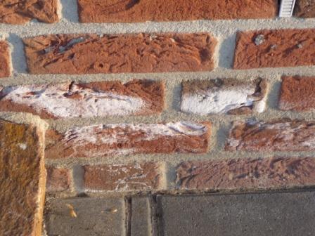 BAU.DE / BAU-Forum: 4. Bild zu Frage "Ausbl&uuml;hungen am Verblender entfernen: Ursachen, Reinigung & Schutzma&szlig;nahmen?" im BAU-Forum "Au&szlig;enw&auml;nde und Fassaden"