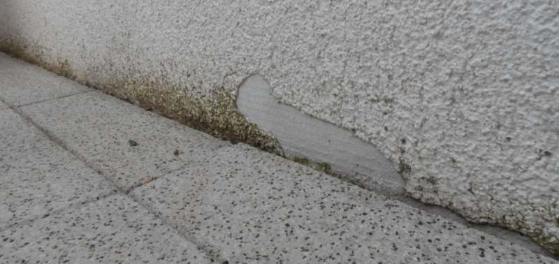 BAU.DE / BAU-Forum: 1. Bild zu Antwort "Sockelputz-Schaden: Fotos zur Beurteilung &ndash; Fassadensanierung" auf die Frage "Au&szlig;enputz entfernen & Sockelputz anbringen: Anleitung, Kosten & Risiken bei Feuchtigkeit?" im BAU-Forum "Au&szlig;enw&auml;nde und Fassaden"