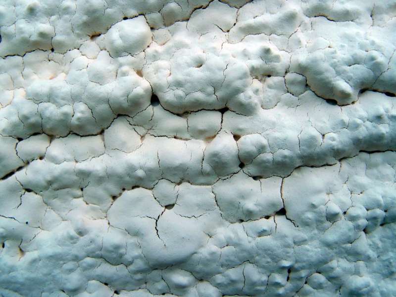 BAU.DE / BAU-Forum: 1. Bild zu Frage "Fassadenfarbe von Caparol rei&szlig;t: Ursachen, Reklamation & Sanierungskosten?" im BAU-Forum "Au&szlig;enw&auml;nde und Fassaden"