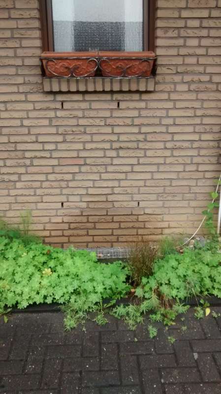 BAU.DE / BAU-Forum: 1. Bild zu Frage "Klinkerfassade Wasserschaden: Ursachen, Erkennung & Sanierungskosten?" im BAU-Forum "Au&szlig;enw&auml;nde und Fassaden"