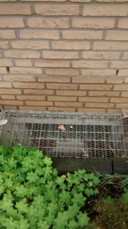 BAU.DE / BAU-Forum: 2. Bild zu Frage "Klinkerfassade Wasserschaden: Ursachen, Erkennung & Sanierungskosten?" im BAU-Forum "Au&szlig;enw&auml;nde und Fassaden"