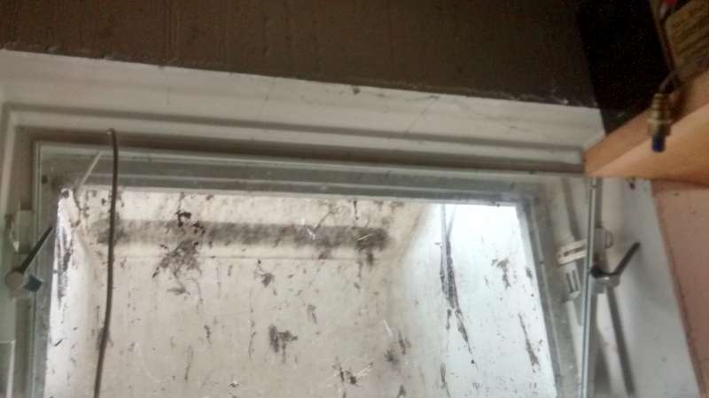 BAU.DE / BAU-Forum: 3. Bild zu Frage "Klinkerfassade Wasserschaden: Ursachen, Erkennung & Sanierungskosten?" im BAU-Forum "Au&szlig;enw&auml;nde und Fassaden"