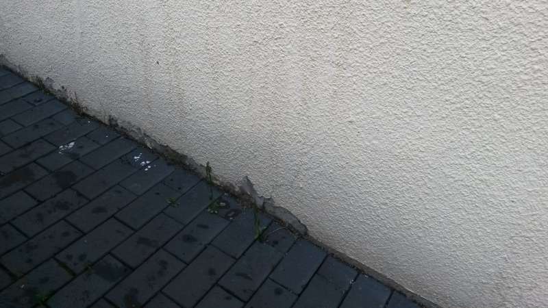 BAU.DE / BAU-Forum: 2. Bild zu Antwort "Putzsch&auml;den am Sockel: Ursachenforschung & Sanierungsplan" auf die Frage "Putz am Sockel sch&uuml;tzen: &Uuml;bergang Pflaster/Erdreich abdichten &ndash; Kosten, Profile, Anleitung?" im BAU-Forum "Au&szlig;enw&auml;nde und Fassaden"