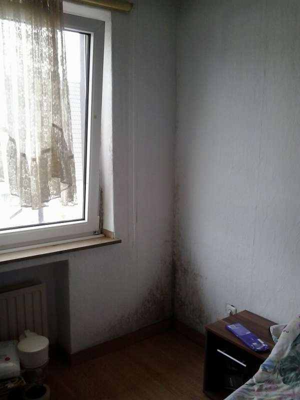 BAU.DE / BAU-Forum: 1. Bild zu Frage "Feuchtigkeitsschaden Au&szlig;enwand: Ursachen, Schimmelbildung & Sanierung bei Fallrohr?" im BAU-Forum "Au&szlig;enw&auml;nde und Fassaden"