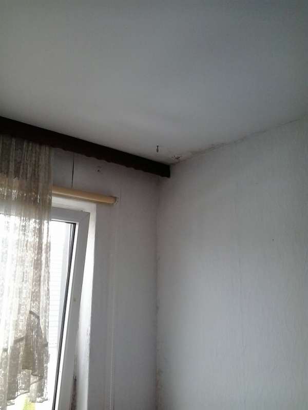 BAU.DE / BAU-Forum: 2. Bild zu Frage "Feuchtigkeitsschaden Au&szlig;enwand: Ursachen, Schimmelbildung & Sanierung bei Fallrohr?" im BAU-Forum "Au&szlig;enw&auml;nde und Fassaden"