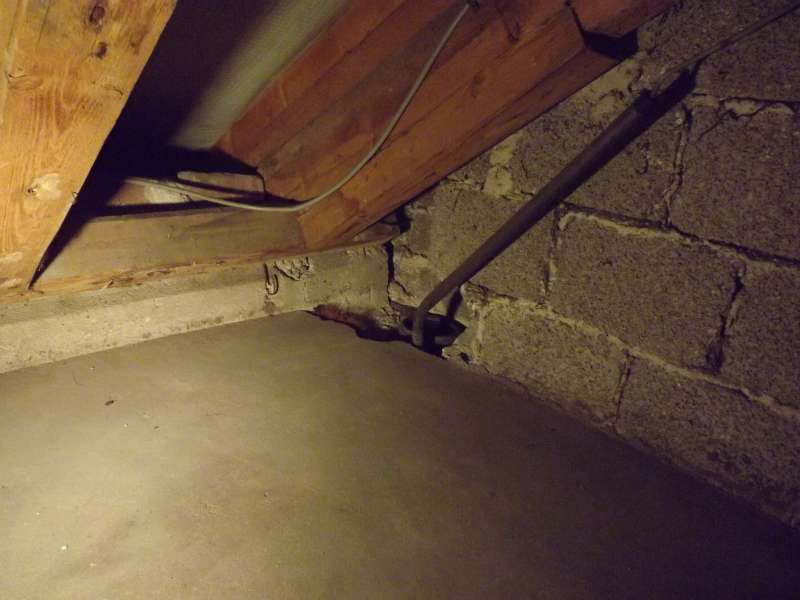 BAU.DE / BAU-Forum: 5. Bild zu Frage "Feuchtigkeitsschaden Au&szlig;enwand: Ursachen, Schimmelbildung & Sanierung bei Fallrohr?" im BAU-Forum "Au&szlig;enw&auml;nde und Fassaden"