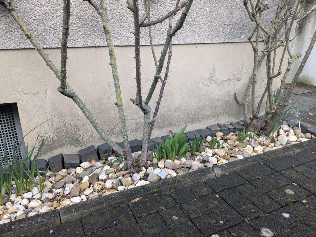 BAU.DE / BAU-Forum: 2. Bild zu Frage "Wer kontrolliert alte DIN Normen in NRW?" im BAU-Forum "Außenwände und Fassaden"