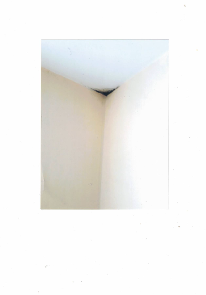 BAU.DE / BAU-Forum: 2. Bild zu Frage "Schimmel an Außenwand-Ecke EG: Ursachen, Risiken & Sanierung bei Ziegelbau (Baujahr 1966)?" im BAU-Forum "Außenwände und Fassaden" BAU.DE / BAU-Forum: 2. Bild zu Frage "Schimmel an Außenwand-Ecke EG: Ursachen, Risiken & Sanierung bei Ziegelbau (Baujahr 1966)?" im BAU-Forum "Außenwände und Fassaden"