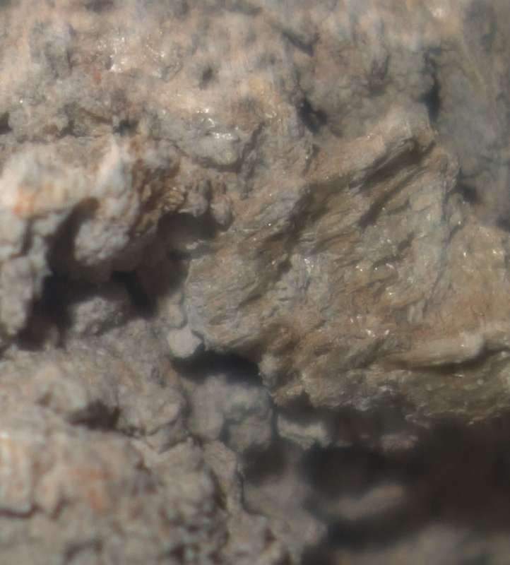 Bild zum BAU-Forumsbeitrag: Asbest im Mörtel? im Forum Baustoffe