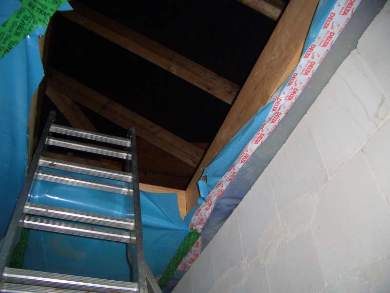 BAU.DE / BAU-Forum: 2. Bild zu Antwort "OSB-Platten entfernen? Feuchtigkeitsproblem im Ferienhaus" auf die Frage "Schimmel zwischen D&auml;mmung & OSB: Ursachen finden, beseitigen + Vorbeugung?" im BAU-Forum "Dach"