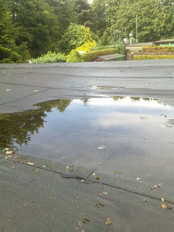 BAU.DE / BAU-Forum: 3. Bild zu Frage "Pf&uuml;tze auf Flachdach im Garten: Ursachen, Risiken & Sofortma&szlig;nahmen?" im BAU-Forum "Dach"