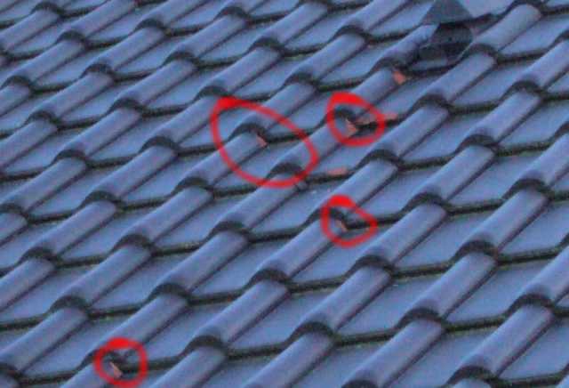 BAU.DE / BAU-Forum: 1. Bild zu Antwort "Dachziegel: Zu enge Eindeckung als Ursache für Risse?" auf die Frage "Dachziegel Abplatzungen nach Winter: Materialfehler, Gewährleistung & Ursachen?" im BAU-Forum "Dach" BAU.DE / BAU-Forum: 1. Bild zu Antwort "Dachziegel: Zu enge Eindeckung als Ursache für Risse?" auf die Frage "Dachziegel Abplatzungen nach Winter: Materialfehler, Gewährleistung & Ursachen?" im BAU-Forum "Dach"