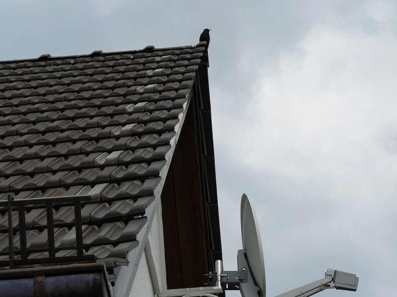 BAU.DE / BAU-Forum: 1. Bild zu Antwort "Ziegelverfärbung: Entscheidung nach Monaten – Austausch erfolgt!" auf die Frage "Neue Dacheindeckung: Ziegelverfärbungen – Ursachen, Risiken & Gewährleistung in Bayern?" im BAU-Forum "Dach" BAU.DE / BAU-Forum: 1. Bild zu Antwort "Ziegelverfärbung: Entscheidung nach Monaten – Austausch erfolgt!" auf die Frage "Neue Dacheindeckung: Ziegelverfärbungen – Ursachen, Risiken & Gewährleistung in Bayern?" im BAU-Forum "Dach"