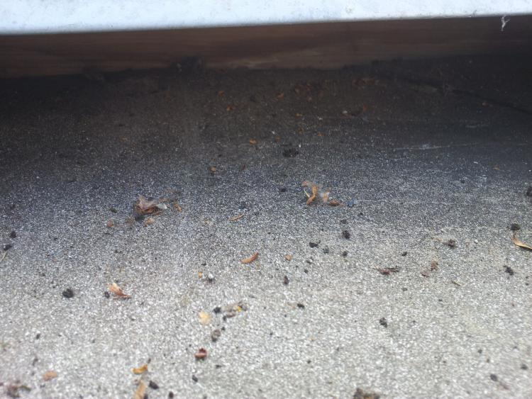 BAU.DE / BAU-Forum: 2. Bild zu Frage "Wasserdichtes Unterdach: Entw&auml;sserungsprobleme, Ursachen & L&ouml;sungen f&uuml;r Dachneigung?" im BAU-Forum "Dach"