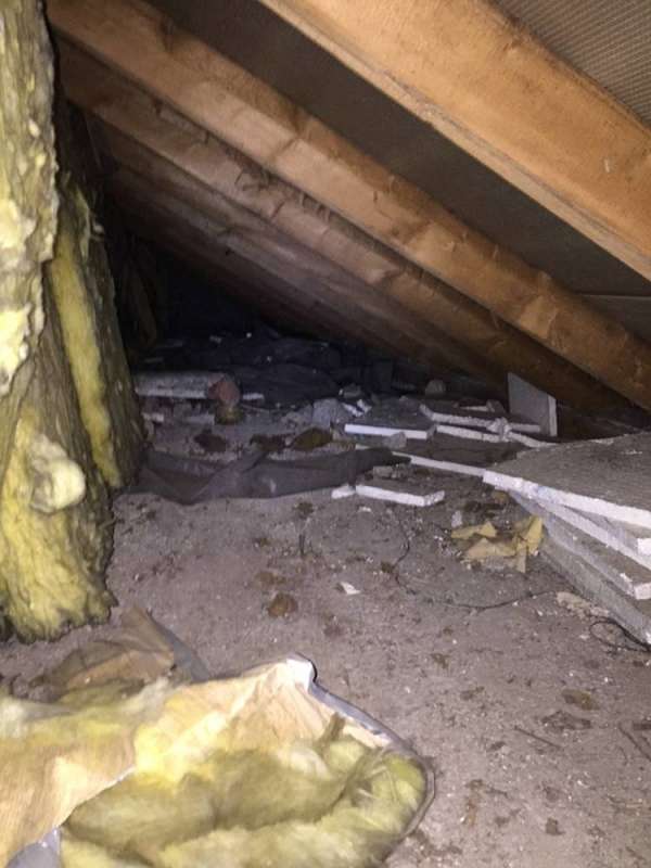 BAU.DE / BAU-Forum: 4. Bild zu Frage "Dachausbau Modernisierung: Probleme mit D&auml;mmung, Feuchtigkeit & Kosten in Kaiserslautern?" im BAU-Forum "Dach"