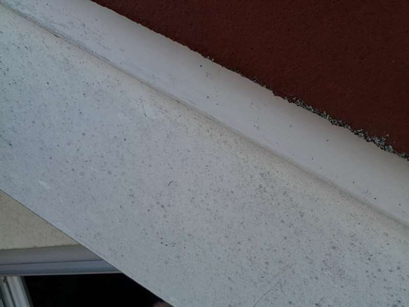 BAU.DE / BAU-Forum: 2. Bild zu Antwort "Ortgangverkleidung: L&ouml;sung f&uuml;r Schimmel trotz Anstrich" auf die Frage "Ortgangverkleidung: Welches Metall (Zink, Alu, Edelstahl, Stahl) ist am langlebigsten?" im BAU-Forum "Dach"