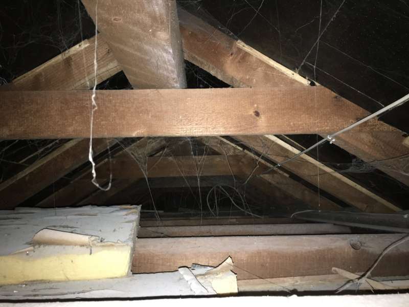 BAU.DE / BAU-Forum: 1. Bild zu Frage "Dach modernisieren 70er Haus: D&auml;mmung, Aufbau, Kosten & Risiken bei Sanierung?" im BAU-Forum "Dach"