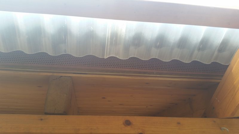 BAU.DE / BAU-Forum: 5. Bild zu Antwort "Fotos: Dach, Photovoltaik und L&uuml;ftungsgitter im Detail" auf die Frage "Wasser aus L&uuml;ftungsgitter am Dach: Ursachen, Folgen & L&ouml;sungen bei Regen?" im BAU-Forum "Dach"