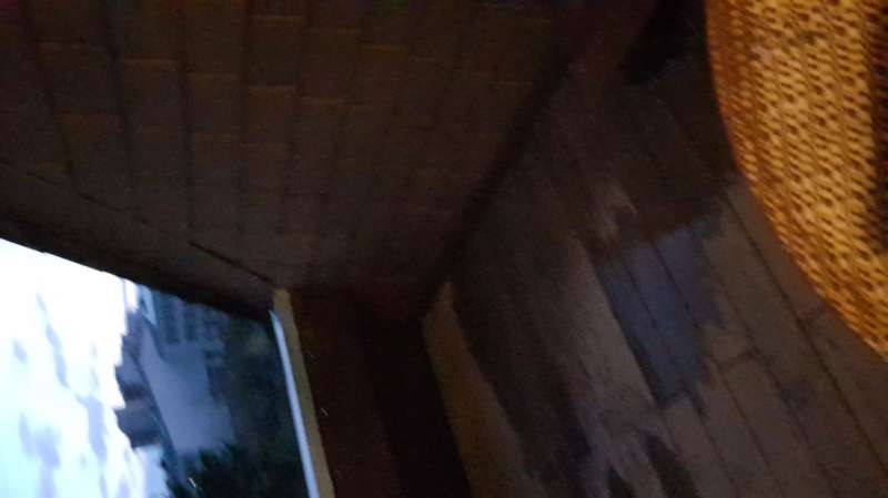 BAU.DE / BAU-Forum: 4. Bild zu Antwort "wieviel Abstand der WPC-Dielen zur Wand" auf die Frage "Dachbalkon  -  muss Abstand der WPC-Dielen zur Wand sein, Unkrautflies" im BAU-Forum "Dach"