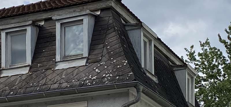 BAU.DE / BAU-Forum: 3. Bild zu Frage "Was kostet so eine Dachsanierung" im BAU-Forum "Dach"