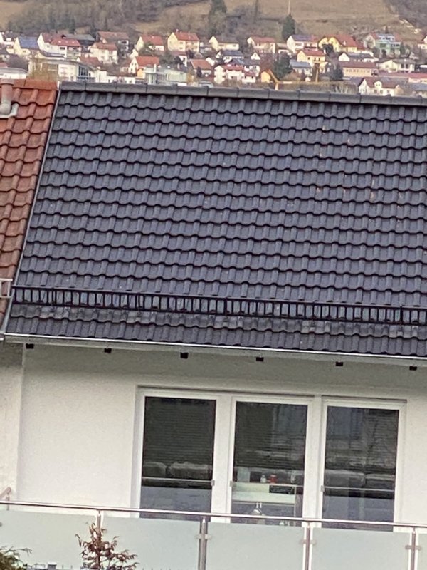 BAU.DE / Forum: 2. Bild zu Frage "Schäden der Dachpfannen" im Forum "Dach"