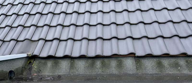 Bild zum BAU-Forumsbeitrag: Wasserschaden Gaube Flachdach - Trocknung erforderlich? im Forum Dach