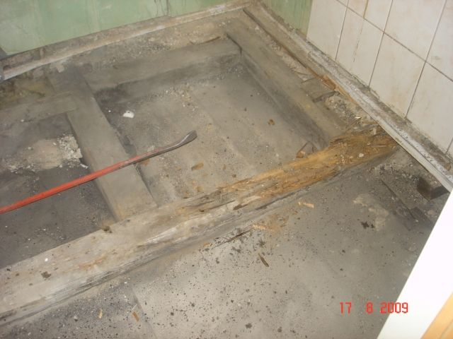 BAU.DE / BAU-Forum: 1. Bild zu Antwort "✅ Ursache gefunden: Abfluss-Sifon undicht – Badsanierung!" auf die Frage "Bodenfliesen im Bad abgeplatzt: Ursachen, Reparatur & Bodenausgleich – Anleitung?" im BAU-Forum "Estrich und Bodenbeläge" BAU.DE / BAU-Forum: 1. Bild zu Antwort "✅ Ursache gefunden: Abfluss-Sifon undicht – Badsanierung!" auf die Frage "Bodenfliesen im Bad abgeplatzt: Ursachen, Reparatur & Bodenausgleich – Anleitung?" im BAU-Forum "Estrich und Bodenbeläge"