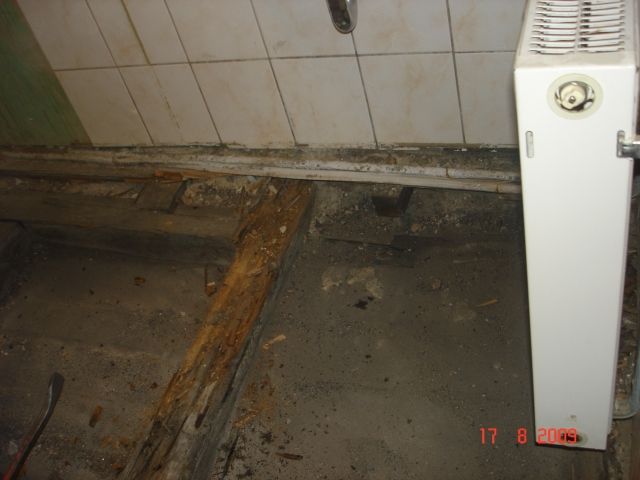 BAU.DE / BAU-Forum: 2. Bild zu Antwort "✅ Ursache gefunden: Abfluss-Sifon undicht – Badsanierung!" auf die Frage "Bodenfliesen im Bad abgeplatzt: Ursachen, Reparatur & Bodenausgleich – Anleitung?" im BAU-Forum "Estrich und Bodenbeläge" BAU.DE / BAU-Forum: 2. Bild zu Antwort "✅ Ursache gefunden: Abfluss-Sifon undicht – Badsanierung!" auf die Frage "Bodenfliesen im Bad abgeplatzt: Ursachen, Reparatur & Bodenausgleich – Anleitung?" im BAU-Forum "Estrich und Bodenbeläge"