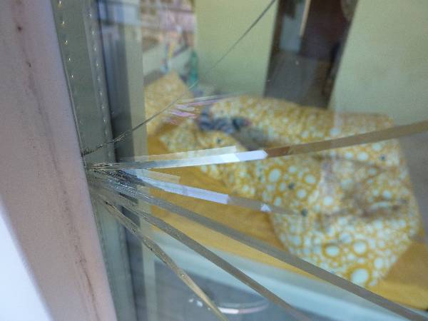 BAU.DE / BAU-Forum: 1. Bild zu Frage "Au&szlig;enscheibe Schadensursache?" im BAU-Forum "Fenster und Au&szlig;ent&uuml;ren"