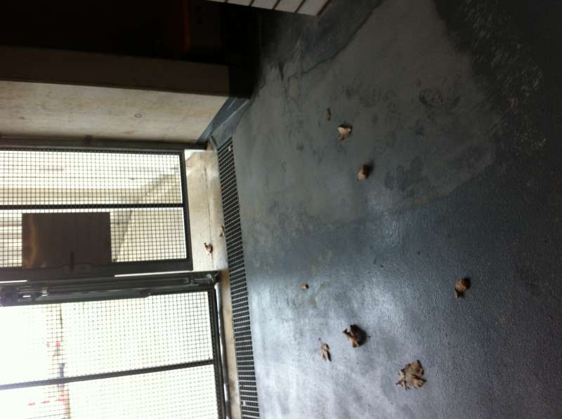 BAU.DE / BAU-Forum: 1. Bild zu Frage "Bodenabstand Tiefgaragen Au&szlig;ent&uuml;r" im BAU-Forum "Fenster und Au&szlig;ent&uuml;ren"