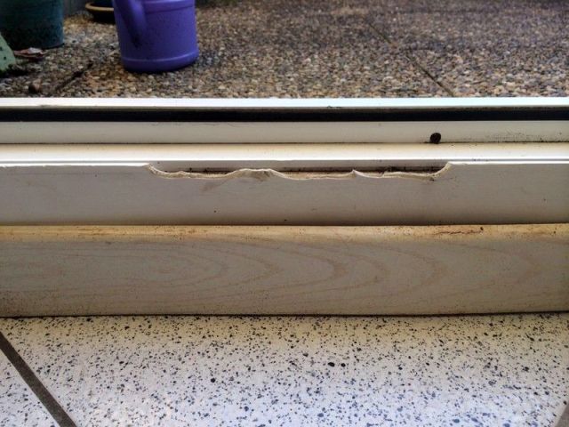BAU.DE / BAU-Forum: 1. Bild zu Frage "Besch&auml;digung an Fensterrahmen reparabel?" im BAU-Forum "Fenster und Au&szlig;ent&uuml;ren"