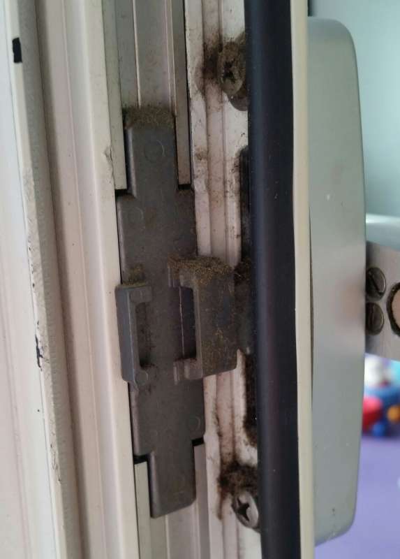 BAU.DE / BAU-Forum: 1. Bild zu Frage "was sind das f&uuml;r T&uuml;ren?" im BAU-Forum "Fenster und Au&szlig;ent&uuml;ren"