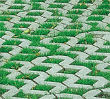 BAU.DE / BAU-Forum: 1. Bild zu Frage "250 m&sup2; Mieterparkplatz befestigen: Preiswerte Pflaster-Alternativen, Kosten & NRW-Regeln?" im BAU-Forum "Rund um den Garten"