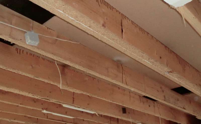 Bild zum BAU-Forumsbeitrag: Spanplattenreste entfernen im Forum Holzschutz, Holzschäden, Holzsanierung