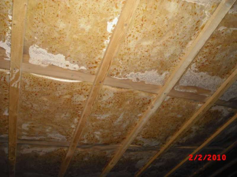 BAU.DE / BAU-Forum: 1. Bild zu Antwort "Feuchtigkeit Kellerdecke: Bilder zur Schadensanalyse" auf die Frage "Feuchtigkeit in Kellerdeckend&auml;mmung: Ursachen, Folgen & Sanierung bei Glasfaserwolle?" im BAU-Forum "Innenw&auml;nde"